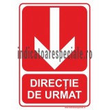 DIRECTIE DE URMAT