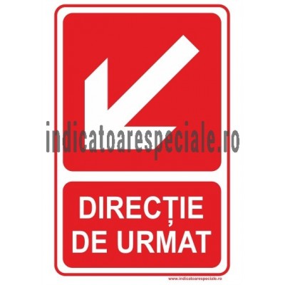 DIRECTIE DE URMAT DIRECTIE DE URMAT