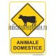 ANIMALE DOMESTICE