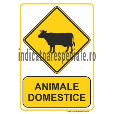ANIMALE DOMESTICE
